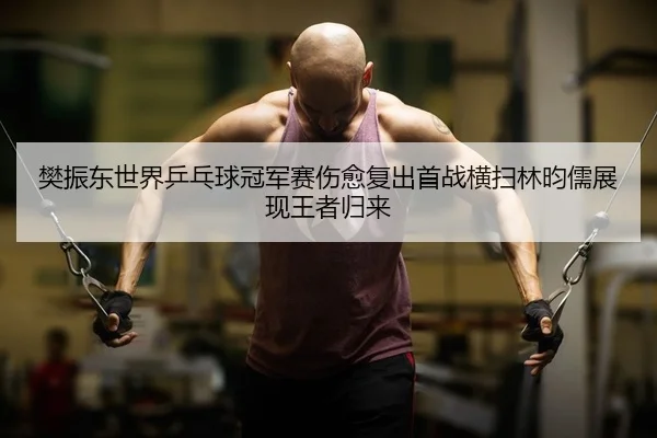 樊振东世界乒乓球冠军赛伤愈复出首战横扫林昀儒展现王者归来